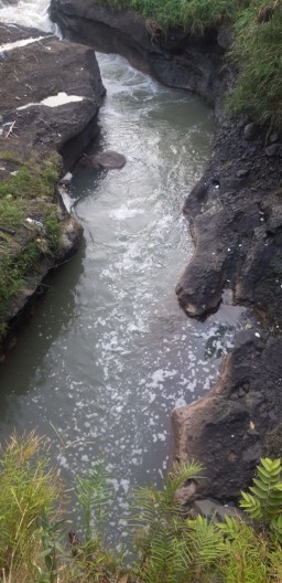 PT Molindo Diduga Sebarkan Limbah Bau Busuk, Warga Mulyoarjo Resah