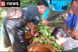 Sisipkan Tauladan Keikhlasan Ketua PCM Kalipuro Salurkan Ratusan Paket Daging Kurban