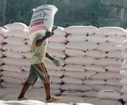 Buruh Tak Dapat BPJS, Ini Pengakuan Bos PT Selamet Putra Rekanan PT Petrokimia Gresik