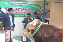 Serahkan Sapi Kurban 1 Ton, Plt Bupati Subandi: Momentum Pererat Silaturrahim dan Kebersamaan
