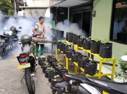 Cegah Penyebaran Demam Berdarah, Kodim 0830/Surabaya Utara Dan Koramil Jajaran Lakukan Fogging 