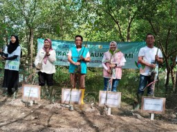 PLN Nusantara Power Gresik Tanam 10.000 Bibit Mangrove di BMC