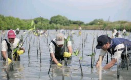 Karyawan Smelter Freeport dan Warga Manyar Tanam Mangrove Peringati Hari Lingkungan Hidup 2024