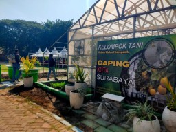 Jemur Wonosari Masuk 5 Besar Kelurahan Berprestasi 2024 Wilayah Jawa-Bali