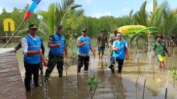 PT PLN NP UP Gresik, Tanam dan Edukasi Konservasi Mangrove Dalam Perayaan International Mangrove Day 2024