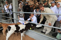 Sambut Baik Kebijakan Mentan, Pj. Gubernur Jatim : Solusi Maksimalkan Penyerapan Susu Peternak Lokal
