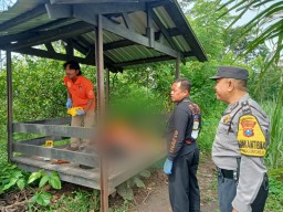 Kasus Penemuan Mayat Perempuan di Gubuk Sawah Kepanjen, Polisi Masih Lakukan Penyelidikan 