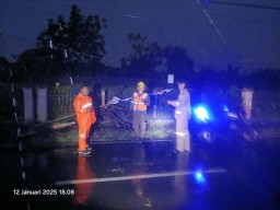 Polres Mojokerto Kota Evakuasi Pohon Tumbang yang Hambat Lalu Lintas