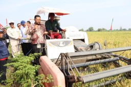 Panen Raya Padi di Gresik, Mentan Amran Apresiasi Produksi Tinggi dan Harga Gabah Rp 6.500