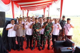 Wakil Bupati Gresik Pimpin Panen Padi di Driyorejo