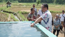Wabup Alif Tinjau Langsung Irigasi Kepuhteluk