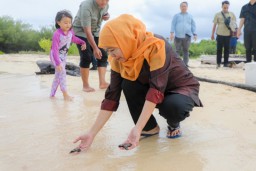 Gubernur Khofifah Lepas Puluhan Tukik di Pulau Tabuhan Banyuwangi, Ajak Masyarakat Galakkan Konservasi Penyu di Jatim