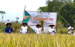 Kadispertan Jatim : Jawa Timur Berkomitmen Menjadi Lumbung Pangan Nasional 