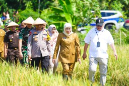 Panen Serentak Nasional oleh Presiden Prabowo, Gubernur Khofifah : Jawa Timur Siap Menjadi Lumbung Pangan Nasional