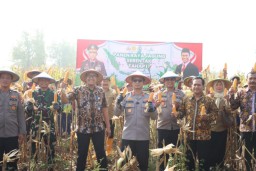 Polres Mojokerto Kota Panen Raya Jagung, Perkuat Ketahanan Pangan Nasional