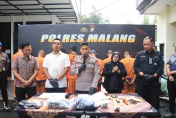 Polres Malang Ringkus 36 Tersangka Kasus Premanisme dan Penganiayaan, Operasi Pekat II 