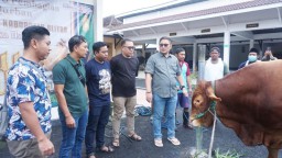 Kejari Kabupaten Blitar Kurban  Empat Sapi, Dua Kambing, Bagikan Seribu Paket untuk Warga