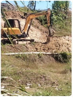 Desa Kedungbanteng Alokasikan 20 Persen Dana Desa untuk Budidaya Ayam Petelur, Dorong Ketahanan Pangan dan Ekonomi Warga