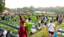 Petrokimia Gresik Berikan Costumer Experience Untuk Msyarakat Melalui Petro Agrifood Expo (PAE) 2025