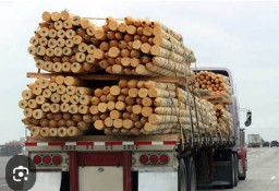 Sales Kayu, Tipu Beberapa Pengusaha Bahan Bangunan