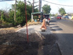 Walhi Menyayangkan Penebangan Pohon Beringin Tua di Jalan Raya Mondoroko Singosari