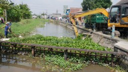 Jaga Kebersihan Sungai, Pemkab Sidoarjo Rutin Bersihkan Eceng Gondok dan Sampah di Saringan Mengetan Kanal