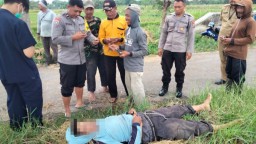 Petani di Blitar Meninggal Mendadak Saat Mencari Jerami di Sawah Selopuro