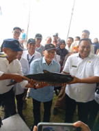 Menko Bidang Pangan Zulkifli Hasan Kunjungi Kampung Bandeng Pangkah Wetan 