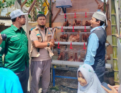 PLN UIT JBM Beri Modal Usaha ke Peternak Ayam Gili Timur, Madura