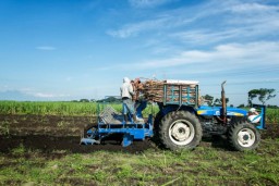 Progres Giling Tahun 2022, PTPN X Telah Lampaui Target