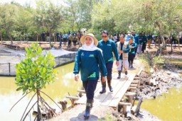 Hutan Mangrove Jatim Terluas di Pulau Jawa, Gubernur Khofifah: Tahun 2023 Terus Kita Perluas Lewat Festival Mangrove