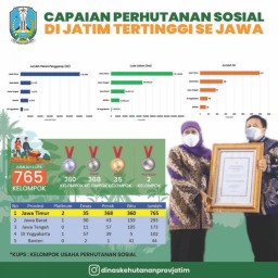 Ini Cara Gubernur Khofifah Melahirkan Ratusan 'Star Up' KUPS Melalui Program Perhutanan Sosial