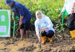 Di Hari Mangrove Sedunia, Gubernur Khofifah : Ayo Masifkan Tanam dan Lestarikan Mangrove Untuk Sedekah Oksigen