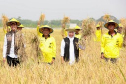 Gubernur Khofifah : Jatim Mampu Jadi Produsen Padi Tertinggi Nasional Selama 4 Tahun Berturut-turut