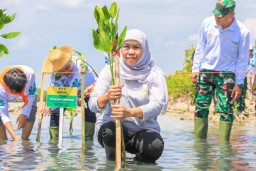 Gubernur Khofifah Gencarkan Gerakan Sedekah Oksigen Untuk Seluruh Masyarakat