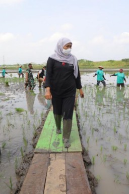 Sensus Pertanian 2023 Dimulai 1 Juni, Gubernur Khofifah Optimis Hasil Data Akurat Akan Jadi Acuan Kebijakan yang Tepat