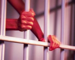 Nasi Sudah Jadi Bubur, Gara-gara Sering Cekcok Seorang Bapak Mendekam di Penjara