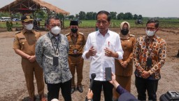 Dampingi Presiden Jokowi Tinjau Kebun Tebu, Wagub Emil: Jatim Merupakan Basis Pabrik Gula dan Basis Petani Tebu