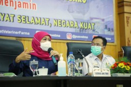 Gubernur Khofifah: Suplai Kebutuhan Daging Sapi di 15 Kab/Kota Jatim Zona Hijau PMK