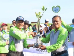 PT Pegadaian Area Probolinggo Tanam 1.500 Mangrove di Pantai Permata Pilang