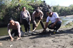 Polres Blitar Gelar Tanam Mangrove dan Pelepasan Tukik Jelang HUT Lantas Ke 63
