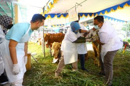 Plt. Gubernur Jatim Pastikan Kualitas Hewan Terjamin Sehat