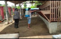 Polsek Lobar Gelar Sosialisasi PMK kepada Peternak