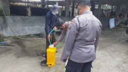 Polsek Ngancar Semprot Desinfektan ke Kandang Sapi