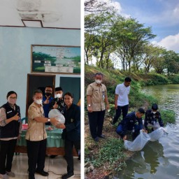 KKN Tematik Mahasiswa UB Gandeng Disnakkan Magetan Tabur Benih Ikan di Waduk Klumpit