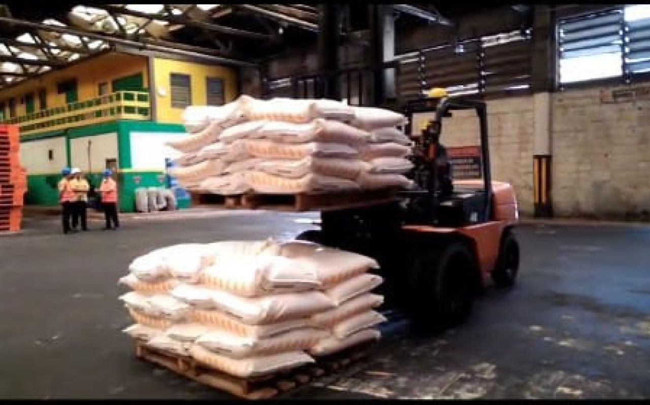 Nasib pekerja outsourcing PT Petrokimia Gresik. (Ist)