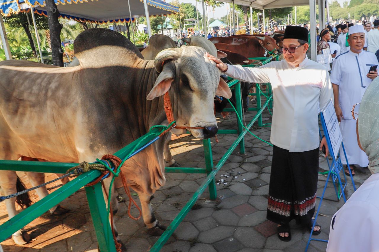 Pj Gubernur Adhy secara simbolis menyerahkan hewan kurban Presiden RI Joko Widodo kepada takmir Masjid Al Akvar dan Masjid Islamic Center Pemprov Jawa Timur. (Ist)
