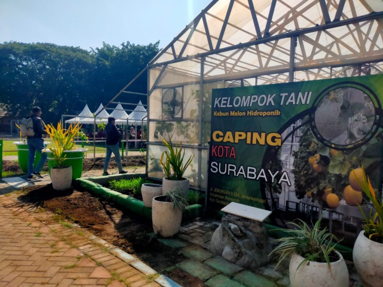 Llahan aset pemerintah kota dimanfaatkan warga untuk hidroponik dan hasilnya digunakan masyarakat sekitar.(ist)