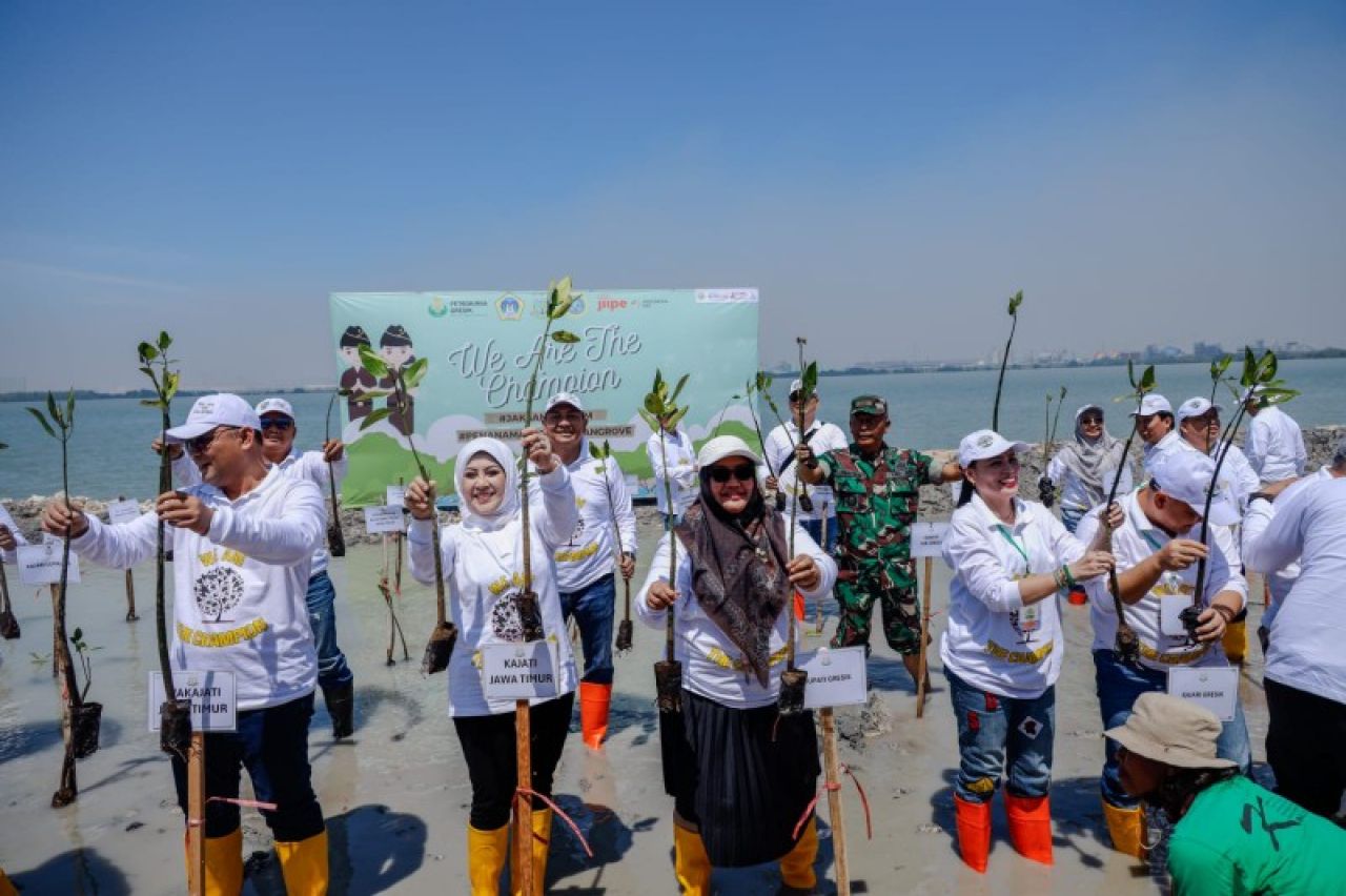 Kolaborasi Pemkab Gresik - Kajati Jatim Tanam 200.500 Mangrove Menuju Gresik Hijau dan Berkelanjutan