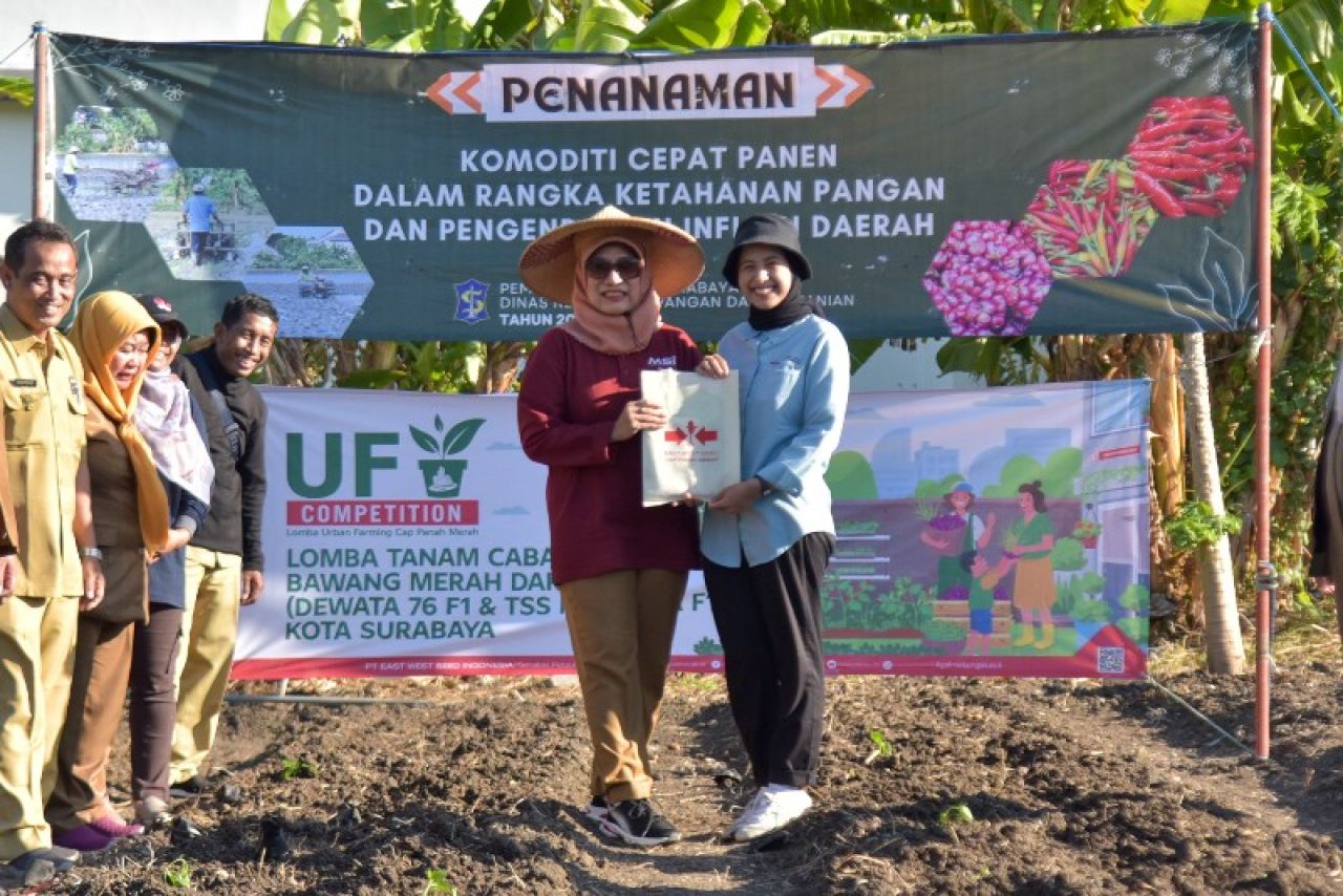 Pemkot Surabaya Gelar Penanaman Cabai dan Bawang Merah Serentak, Libatkan 60 Poktan Urban Farming. (Ist)